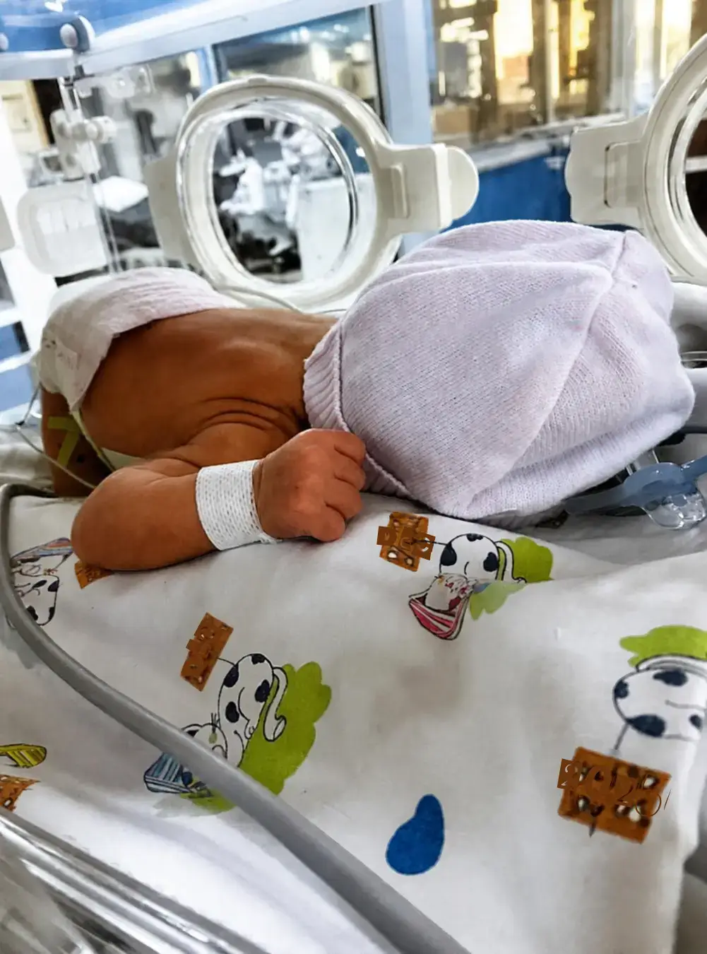 Newborn in a knitted hat inside an incubator in the Neonatal Intensive Care Unit in Rome, La Magia di un Sorriso